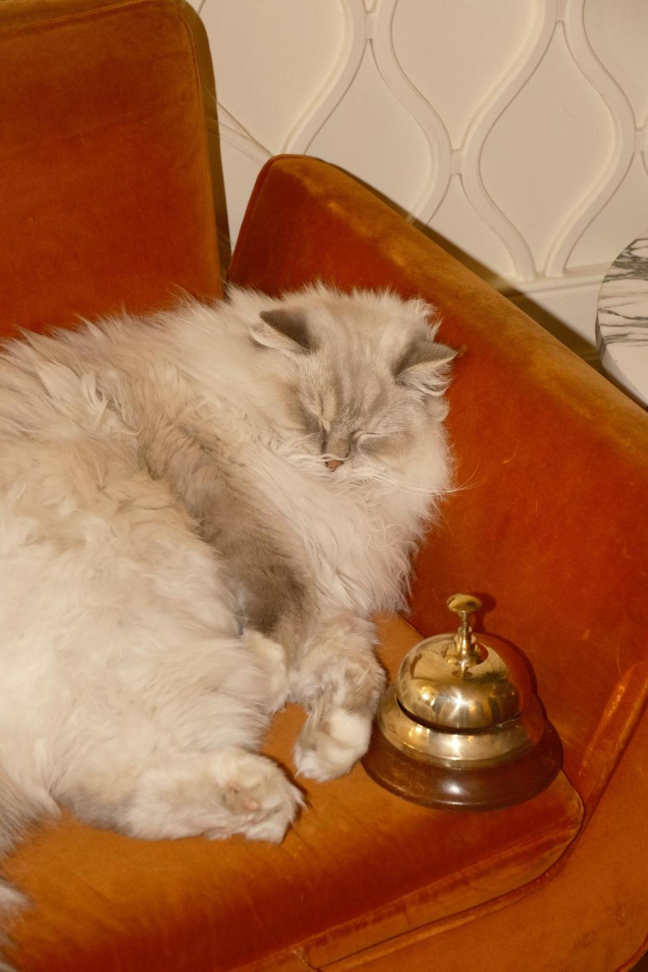 Thoumieux Hotel Parigi